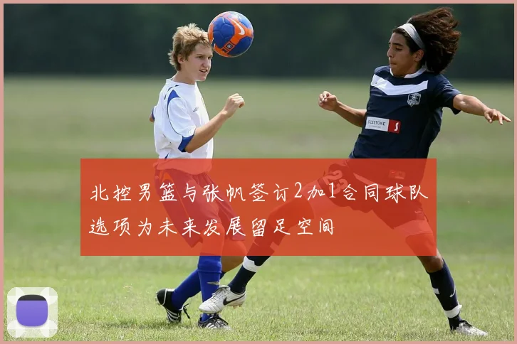 北控男篮与张帆签订2加1合同球队选项为未来发展留足空间