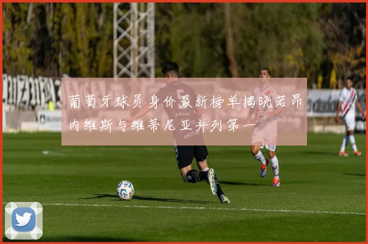葡萄牙球员身价最新榜单揭晓若昂内维斯与维蒂尼亚并列第一