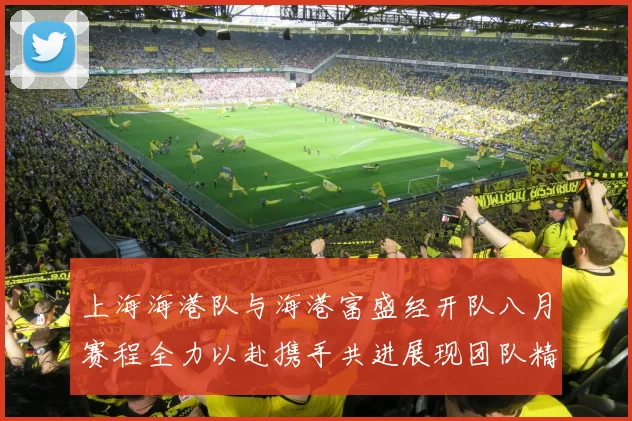 上海海港队与海港富盛经开队八月赛程全力以赴携手共进展现团队精神