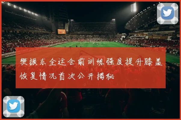 樊振东全运会前训练强度提升膝盖恢复情况首次公开揭秘